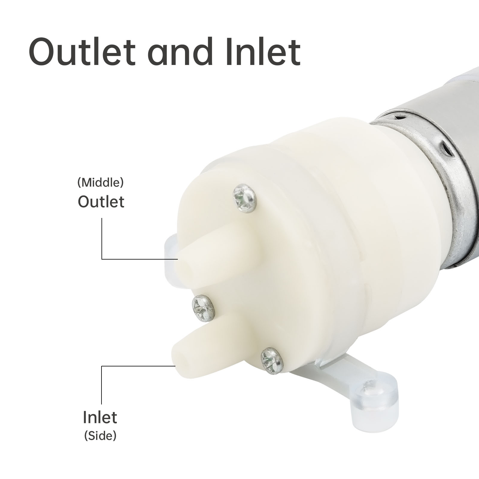 R365 مايكرو محرك مضخة مياه تيا - مراجعة Mini Peristaltic Pump 12V وسعره